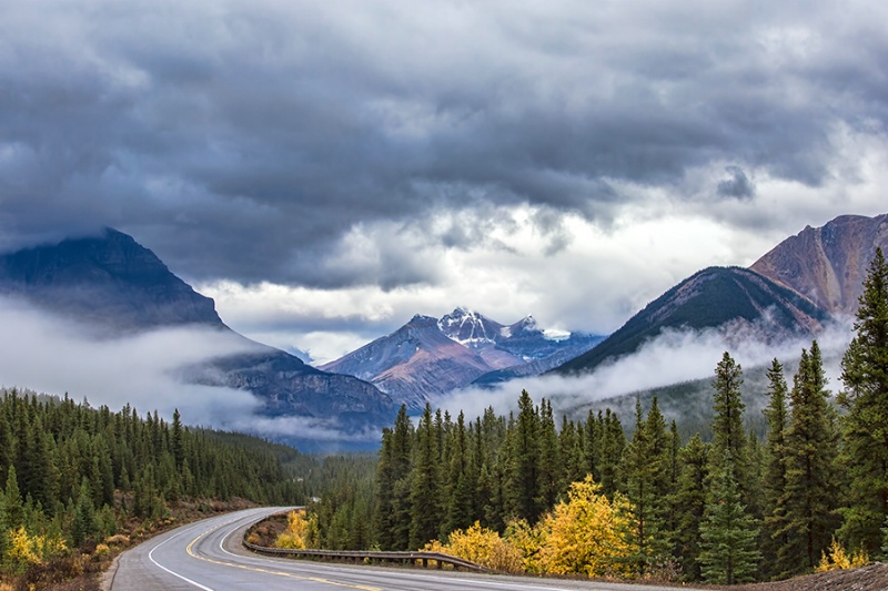 Icefields Parkway View   