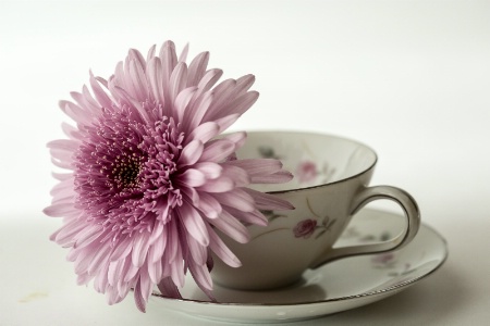 Tea cup flower