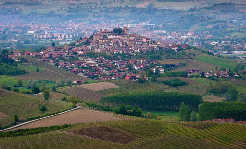 Piedmont wine country