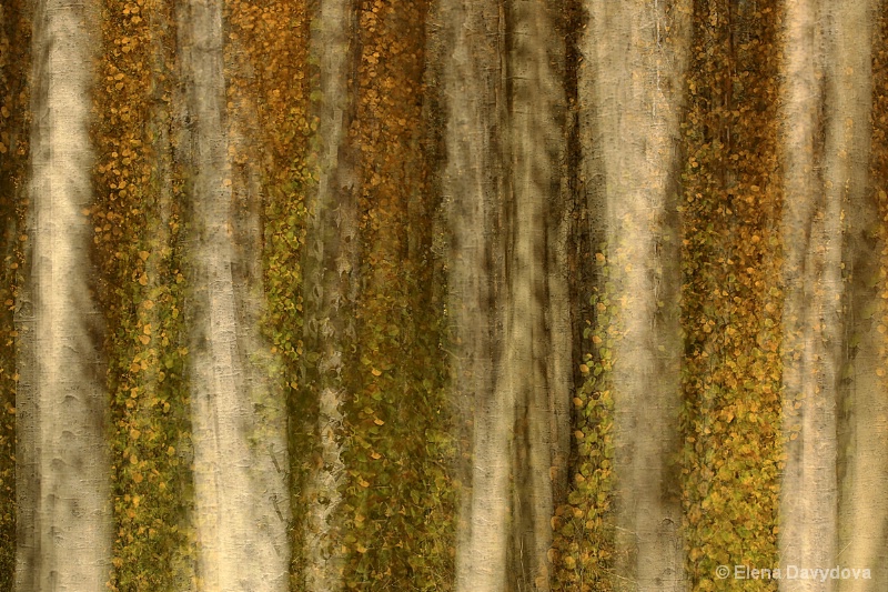 autumn abstract