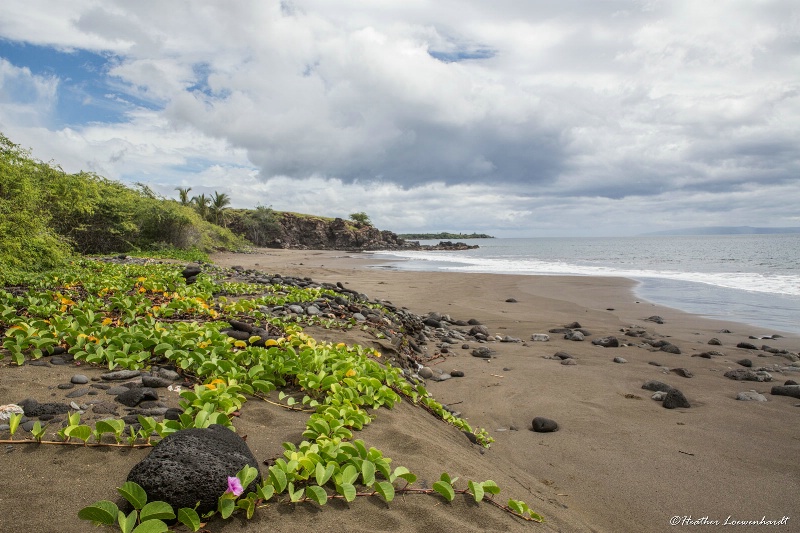 Black Beach