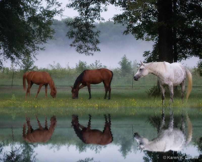 Early Morning Grazing