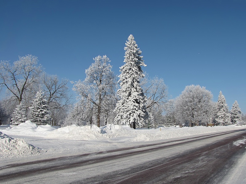 Frosty Drive