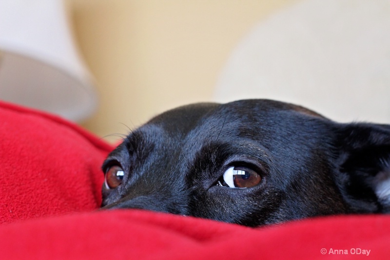 Sleep interrupted