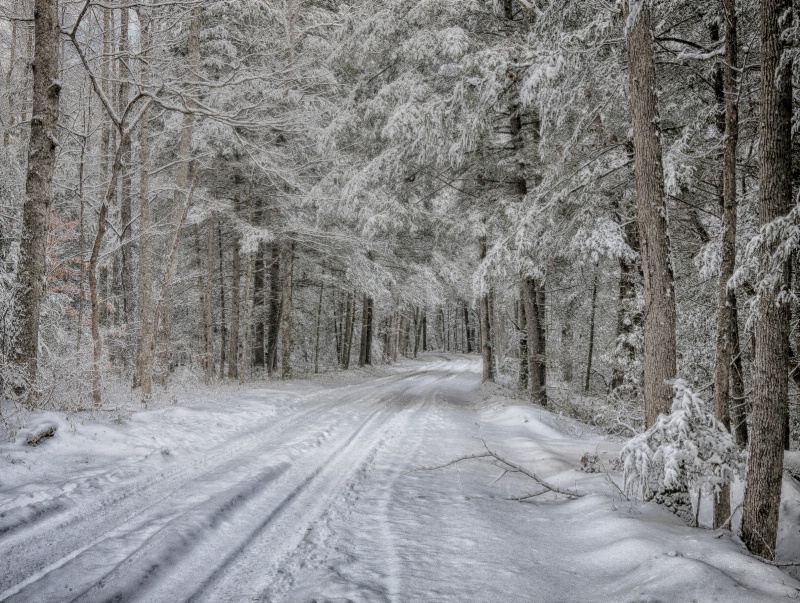 A Snowy Day on Jellico Creek Rd