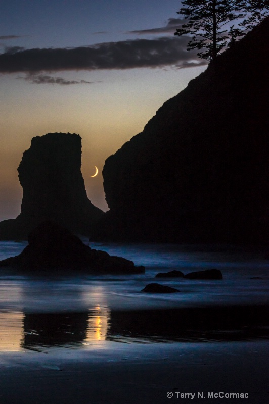 "Goodnight Moon" - ID: 14853209 © TERRY N. MCCORMAC