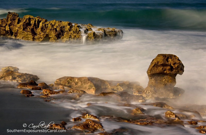 Coral Cove Beach - ID: 14854501 © Carol Eade