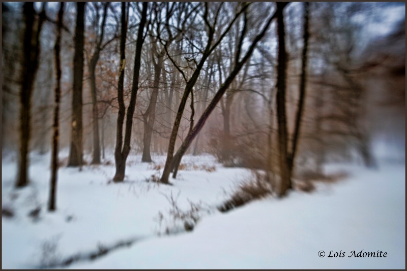 winter lensbaby style