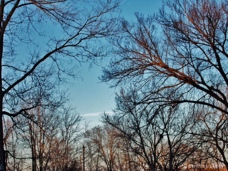Winter sky