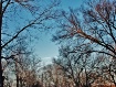 Winter sky