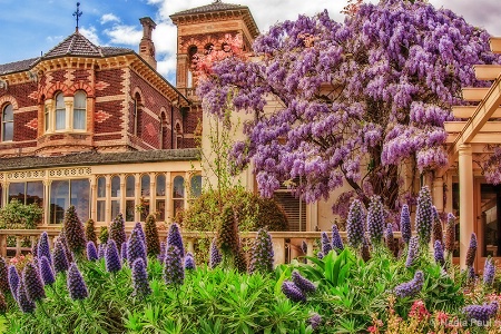 Spring At Ripponlea