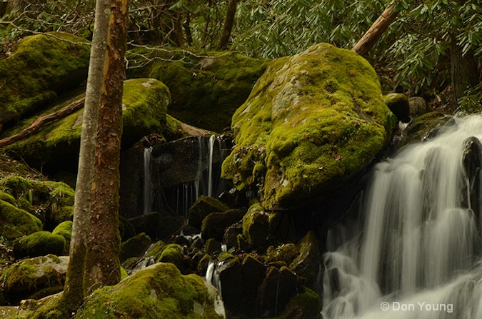 Quiet Waterfall