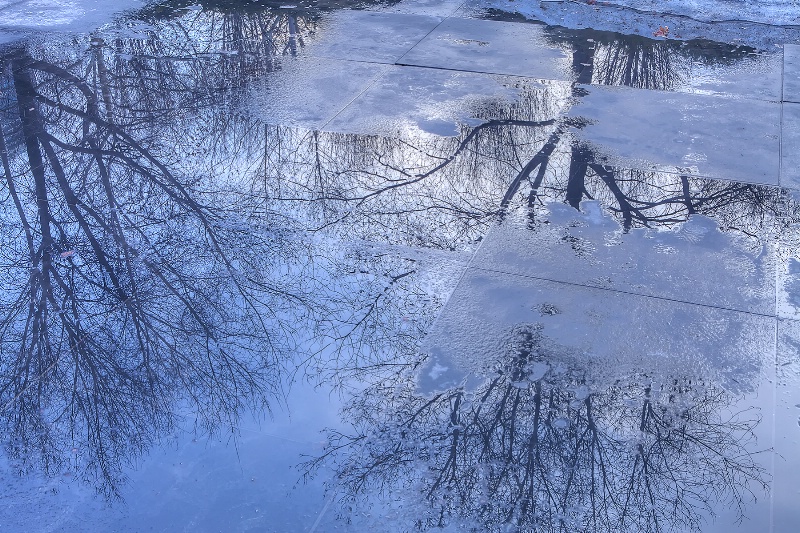 Icy Reflections