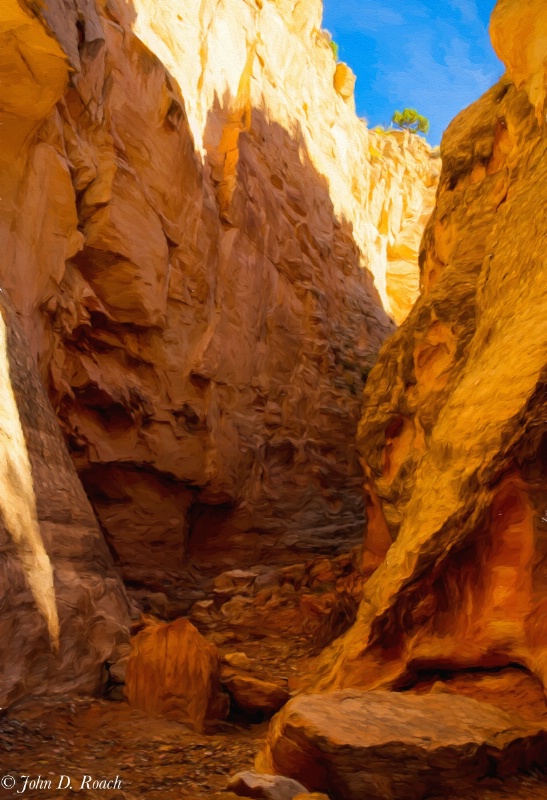 Cottonwood Narrows Slot Canyon - Utah - ID: 14859541 © John D. Roach