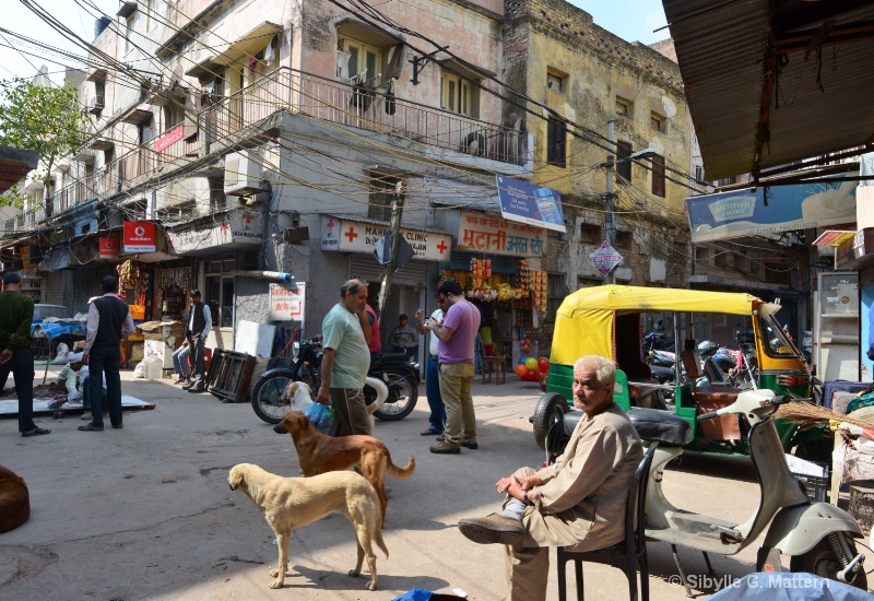 street life, Delhi - ID: 14861275 © Sibylle G. Mattern