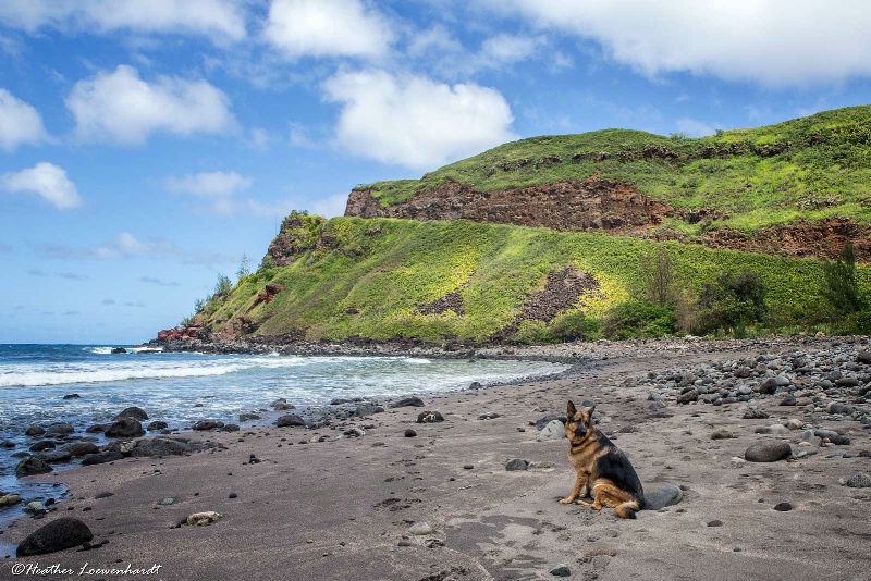 Coastal Wandering