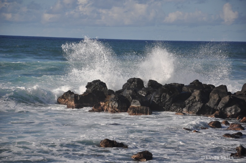 Ocean Spray - ID: 14863228 © Linda Estes