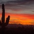 2Saguaro Sunset - ID: 14863764 © Walter B. Biddle