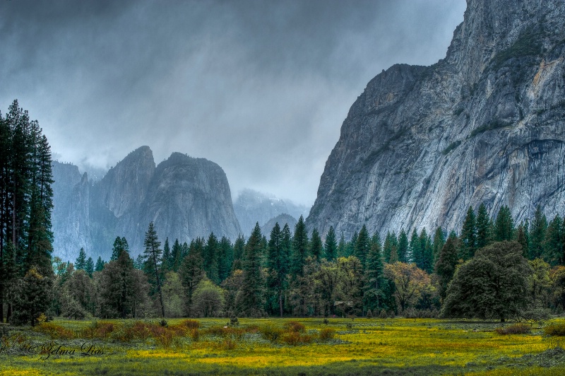 Beauty in Misty Yosemite