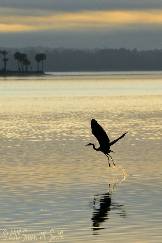 Dawn's Early Flight