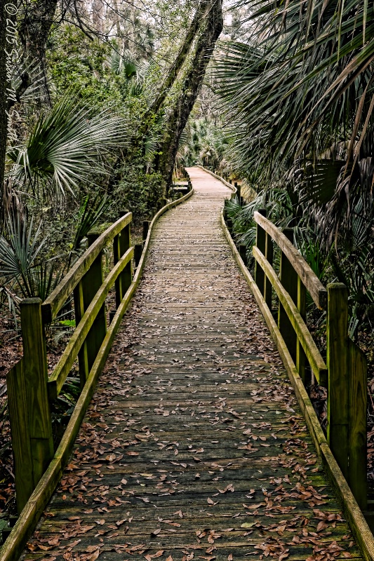 Tropical Stroll