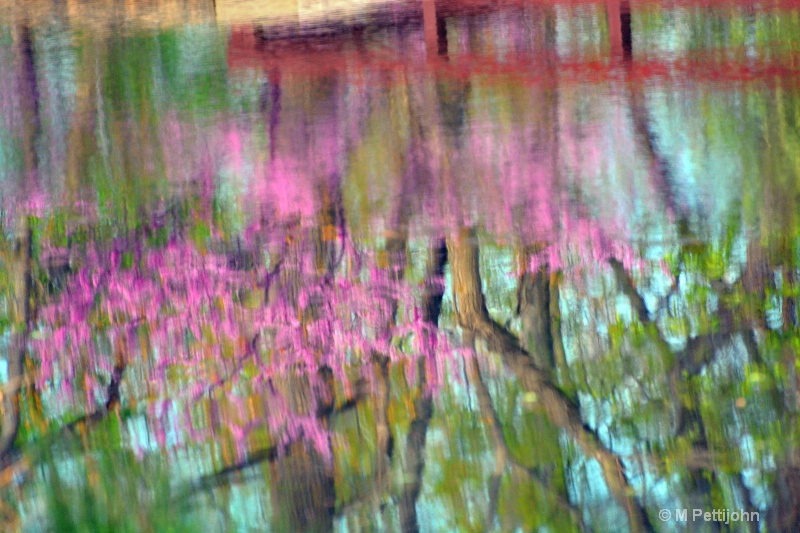 Reflections of Spring Colors