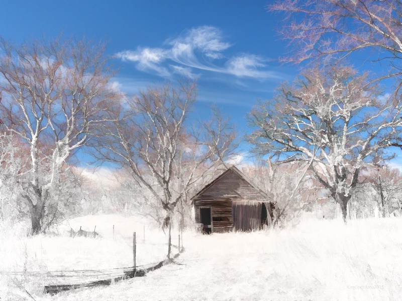 A Spring Snowfall