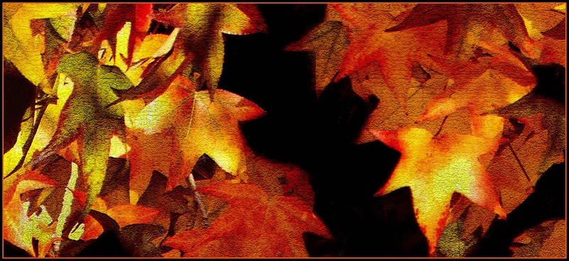 Shades of Autumn 