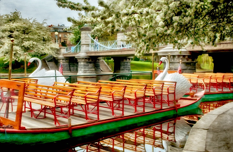 Swan Boats in Springtime