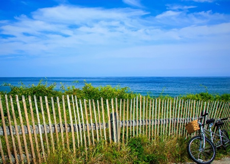 Pause on Cape Cod