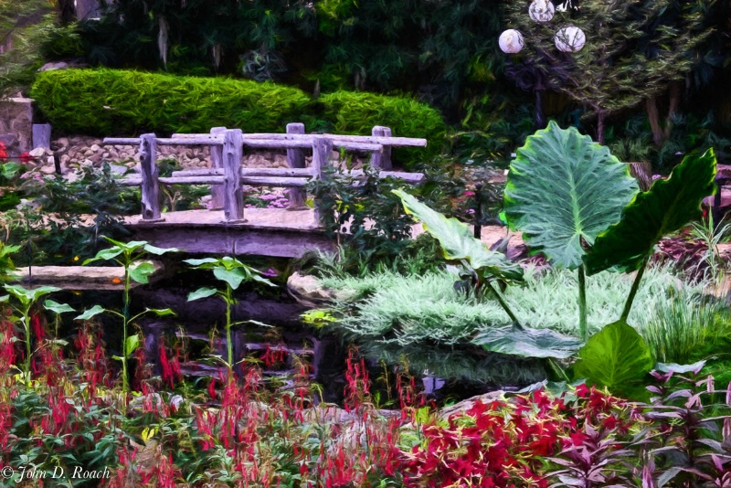 The garden - Tribute to Monet