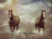 Horses  In  The  ...