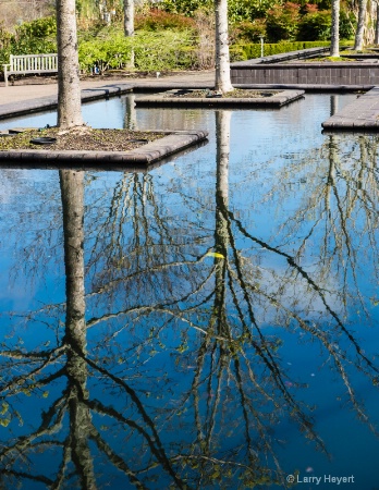 Fountain at Oregon Gardens in Silverton, Oregon