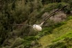 Glider