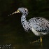 2Fishing at the Pond - ID: 14867645 © Carol Eade