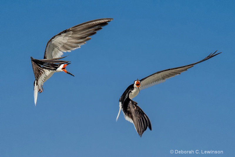 Aerial Battle