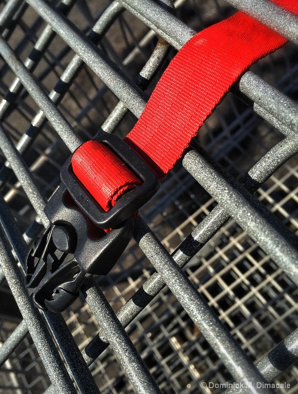 ~ ~ THE RED STRAP ~ ~