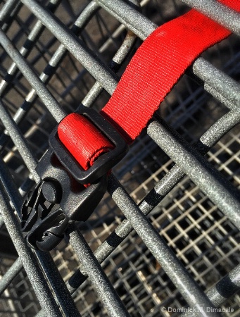 ~ ~ THE RED STRAP ~ ~
