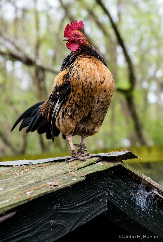 Wake-up Alarm - ID: 14868911 © John E. Hunter