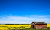 manitoba lanscape...