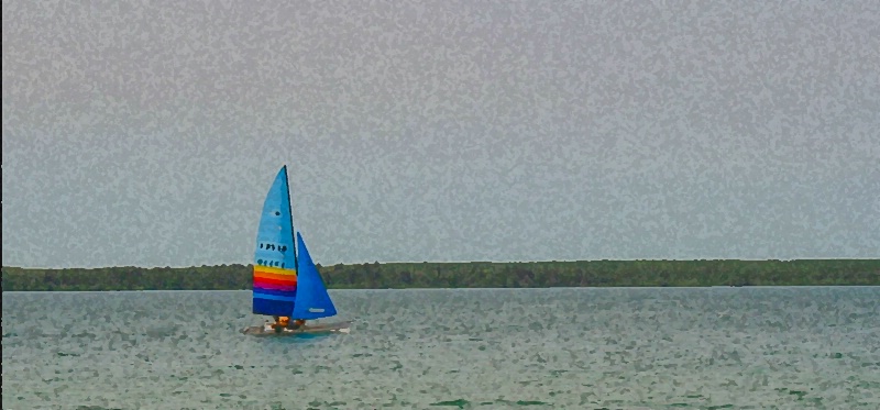 sailing on clear lake  2