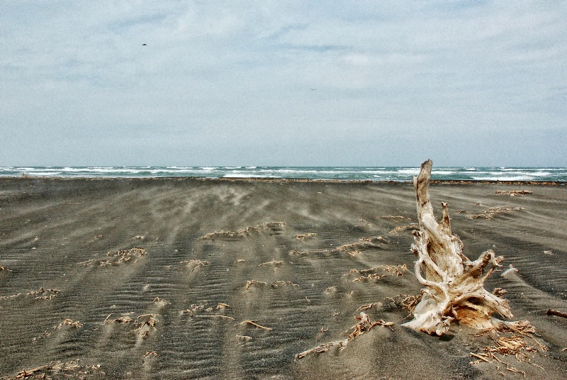 Sea and sand with a touch of wind