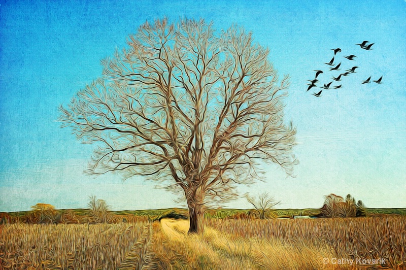 Tree In The Golden Field