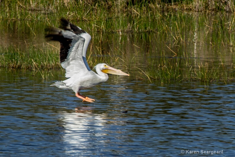 Safe Landing