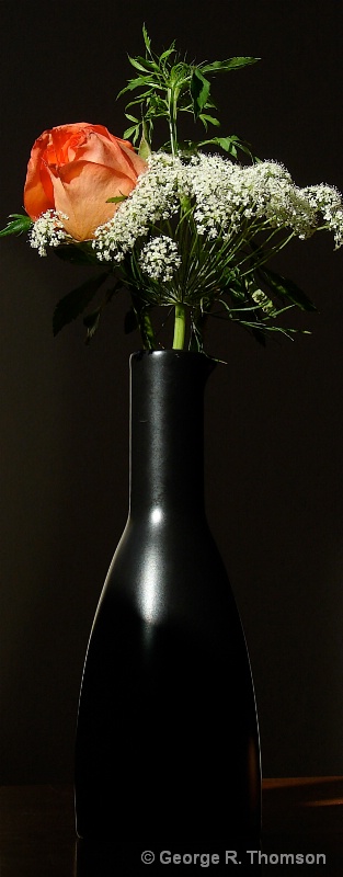 Still Life With Black Vase