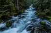 McKenzie River