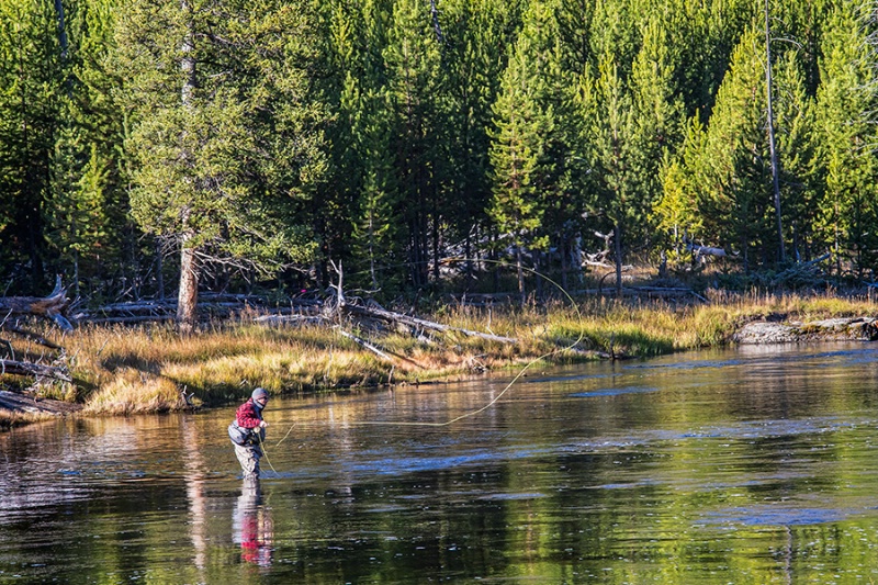 Casting For Cutthroat Trout    