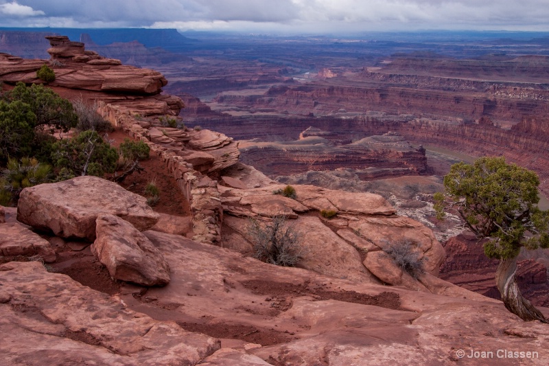 Colorado River Canyon