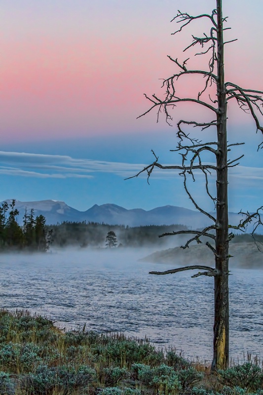 Yellowstone Dawn    