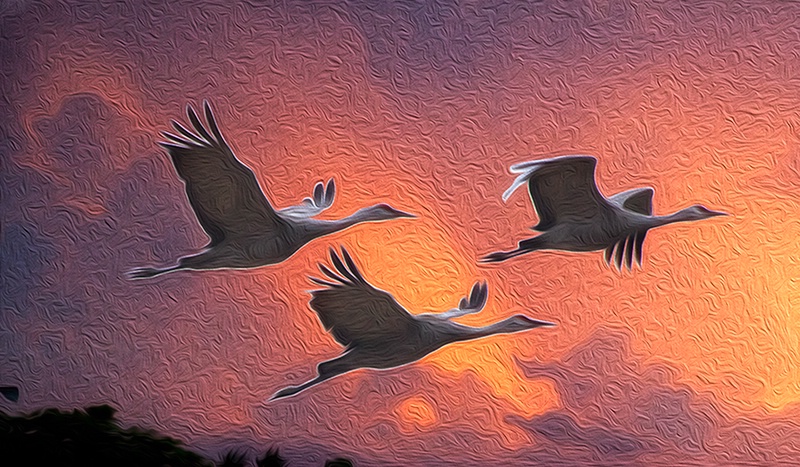 Flight of the Cranes